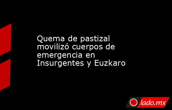 Quema de pastizal movilizó cuerpos de emergencia en Insurgentes y Euzkaro. Noticias en tiempo real