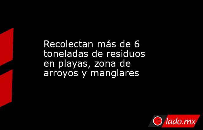 Recolectan más de 6 toneladas de residuos en playas, zona de arroyos y manglares. Noticias en tiempo real