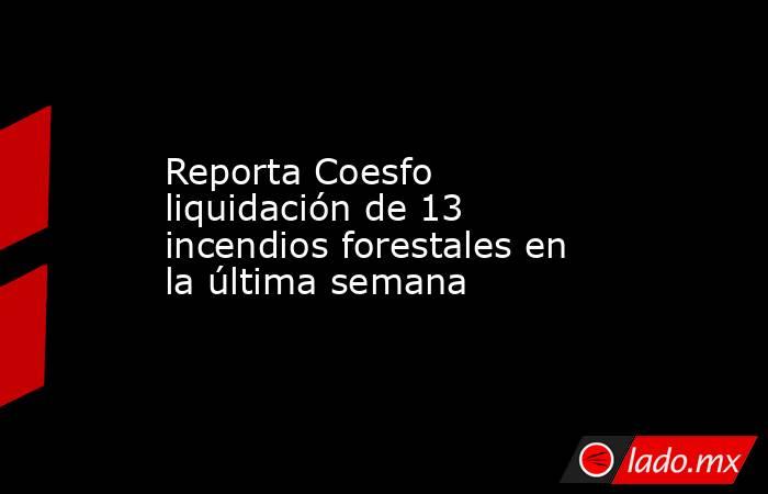 Reporta Coesfo liquidación de 13 incendios forestales en la última semana. Noticias en tiempo real