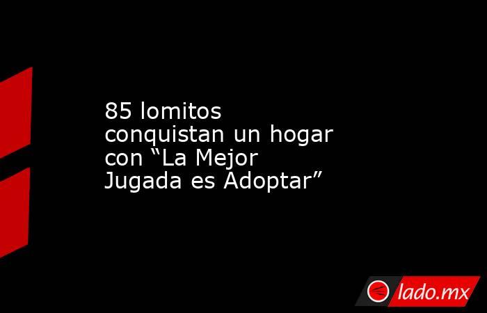 85 lomitos conquistan un hogar con “La Mejor Jugada es Adoptar”. Noticias en tiempo real