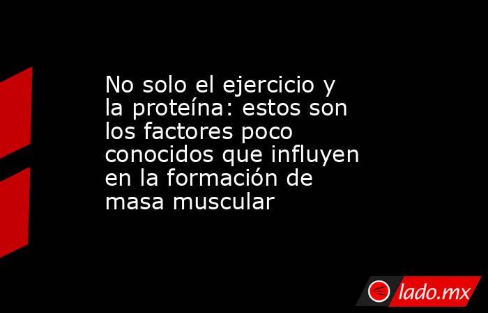 No solo el ejercicio y la proteína: estos son los factores poco conocidos que influyen en la formación de masa muscular . Noticias en tiempo real