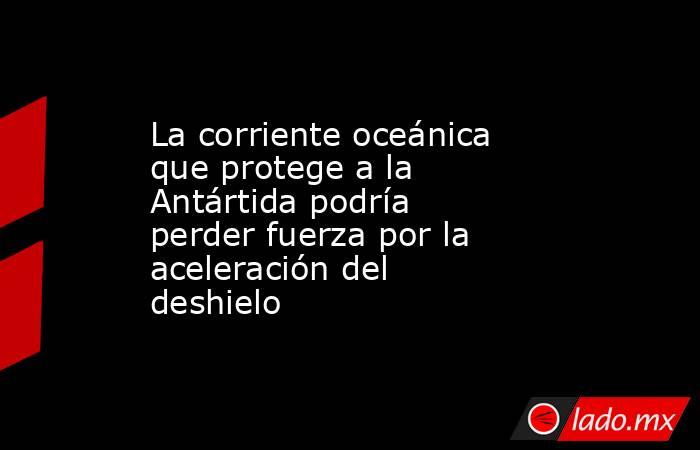 La corriente oceánica que protege a la Antártida podría perder fuerza por la aceleración del deshielo. Noticias en tiempo real