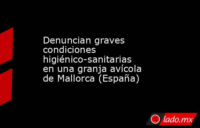 Denuncian graves condiciones higiénico-sanitarias en una granja avícola de Mallorca (España). Noticias en tiempo real