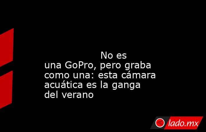                                                                                                                                          No es una GoPro, pero graba como una: esta cámara acuática es la ganga del verano                                     . Noticias en tiempo real