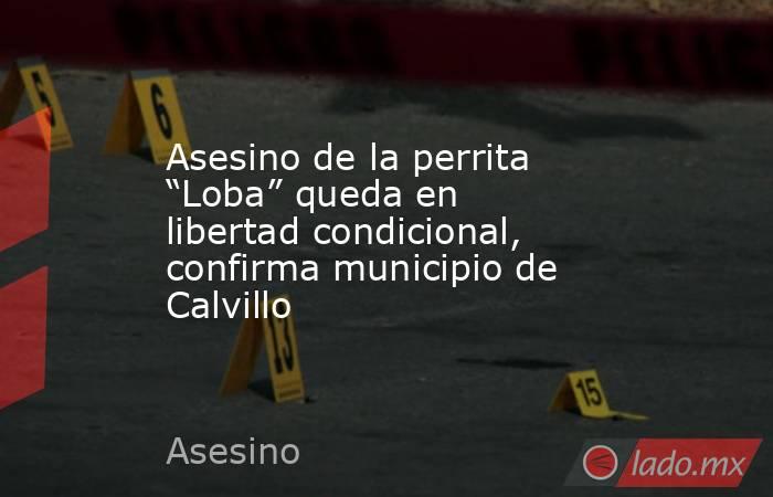 Asesino de la perrita “Loba” queda en libertad condicional, confirma municipio de Calvillo. Noticias en tiempo real