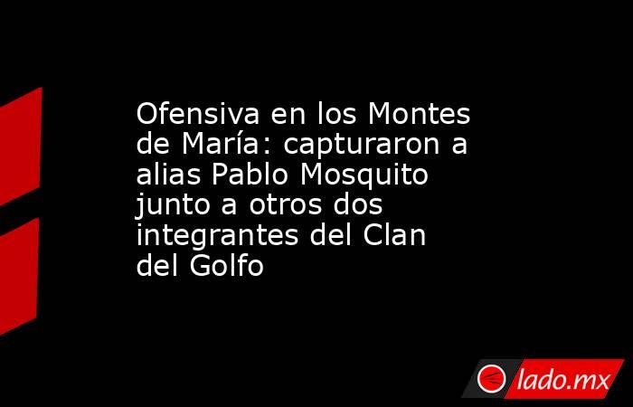 Ofensiva en los Montes de María: capturaron a alias Pablo Mosquito junto a otros dos integrantes del Clan del Golfo . Noticias en tiempo real
