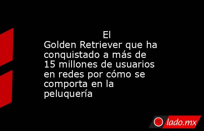                                                                                           El Golden Retriever que ha conquistado a más de 15 millones de usuarios en redes por cómo se comporta en la peluquería                                               . Noticias en tiempo real