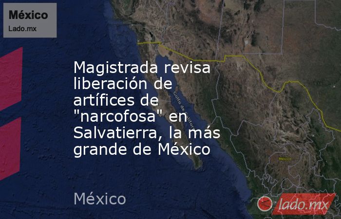 Magistrada revisa liberación de artífices de 