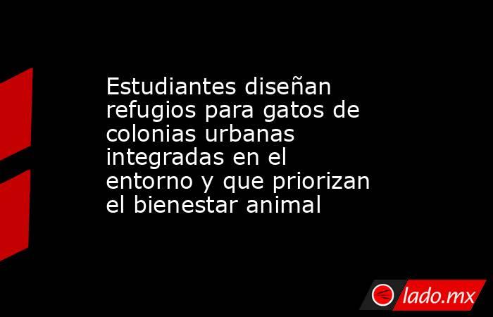 Estudiantes diseñan refugios para gatos de colonias urbanas integradas en el entorno y que priorizan el bienestar animal. Noticias en tiempo real
