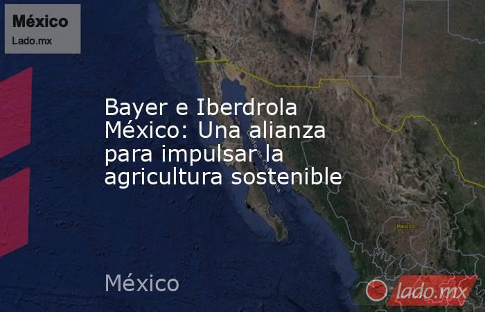 Bayer e Iberdrola México: Una alianza para impulsar la agricultura sostenible. Noticias en tiempo real