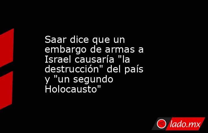 Saar dice que un embargo de armas a Israel causaría 