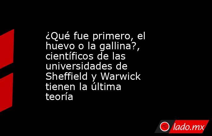 ¿Qué fue primero, el huevo o la gallina?, científicos de las universidades de Sheffield y Warwick tienen la última teoría. Noticias en tiempo real
