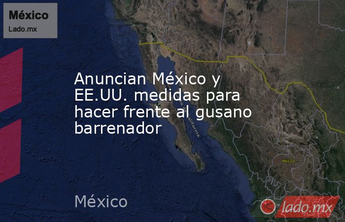 Anuncian México y EE.UU. medidas para hacer frente al gusano barrenador. Noticias en tiempo real
