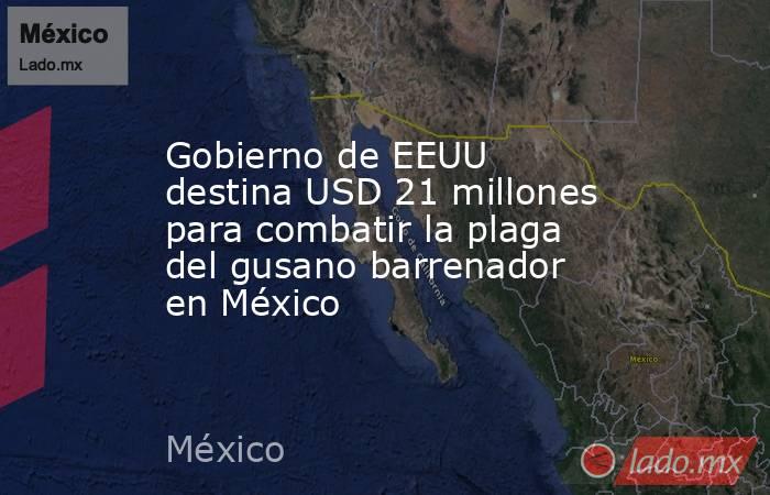 Gobierno de EEUU destina USD 21 millones para combatir la plaga del gusano barrenador en México. Noticias en tiempo real