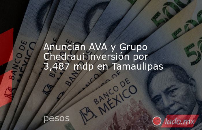 Anuncian AVA y Grupo Chedraui inversión por 3,487 mdp en Tamaulipas. Noticias en tiempo real