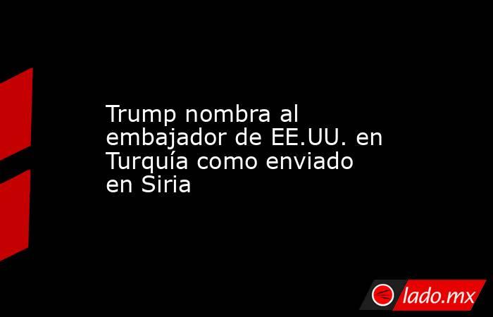 Trump nombra al embajador de EE.UU. en Turquía como enviado en Siria. Noticias en tiempo real