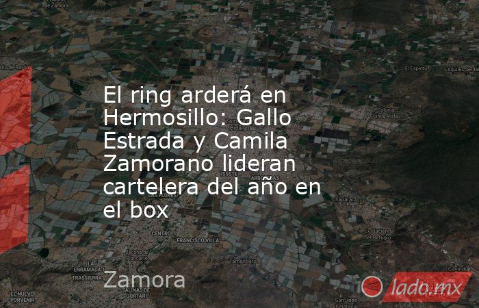 El ring arderá en Hermosillo: Gallo Estrada y Camila Zamorano lideran cartelera del año en el box. Noticias en tiempo real