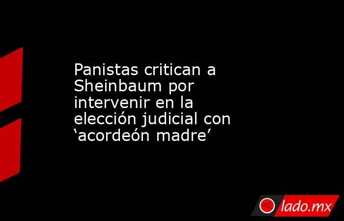 Panistas critican a Sheinbaum por intervenir en la elección judicial con ‘acordeón madre’ . Noticias en tiempo real