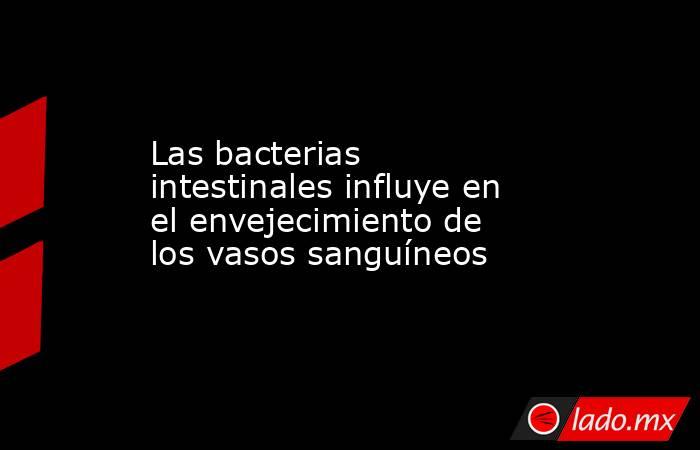 Las bacterias intestinales influye en el envejecimiento de los vasos sanguíneos. Noticias en tiempo real