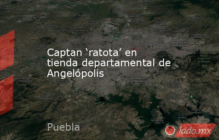 Captan ‘ratota’ en tienda departamental de Angelópolis. Noticias en tiempo real