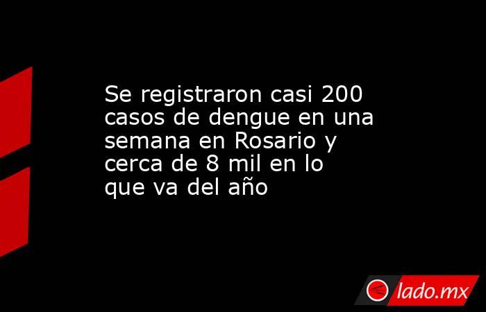 Se registraron casi 200 casos de dengue en una semana en Rosario y cerca de 8 mil en lo que va del año . Noticias en tiempo real