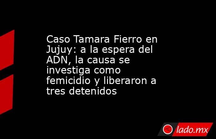 Caso Tamara Fierro en Jujuy: a la espera del ADN, la causa se investiga como femicidio y liberaron a tres detenidos. Noticias en tiempo real