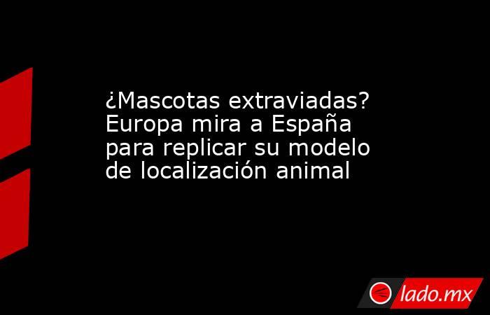 ¿Mascotas extraviadas? Europa mira a España para replicar su modelo de localización animal. Noticias en tiempo real
