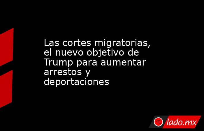 Las cortes migratorias, el nuevo objetivo de Trump para aumentar arrestos y deportaciones. Noticias en tiempo real