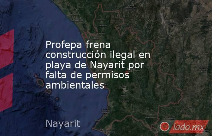 Profepa frena construcción ilegal en playa de Nayarit por falta de permisos ambientales. Noticias en tiempo real