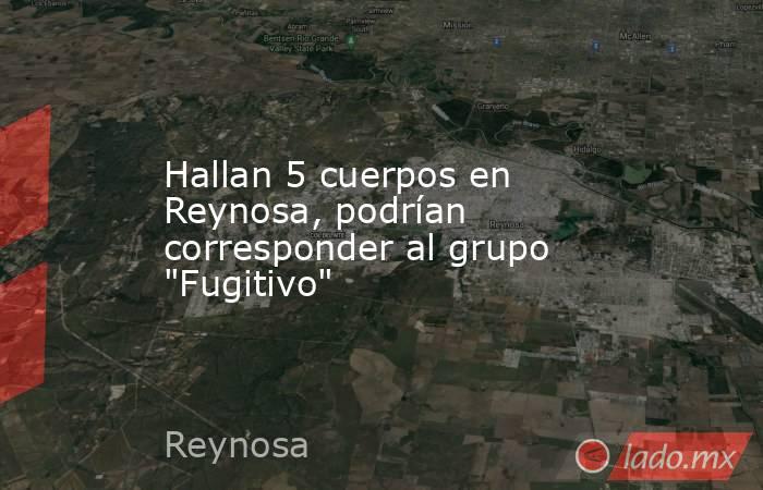 Hallan 5 cuerpos en Reynosa, podrían corresponder al grupo 