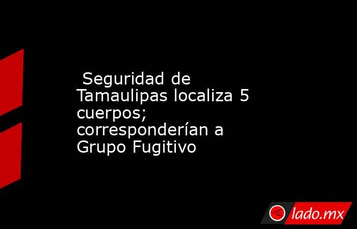  Seguridad de Tamaulipas localiza 5 cuerpos; corresponderían a Grupo Fugitivo. Noticias en tiempo real