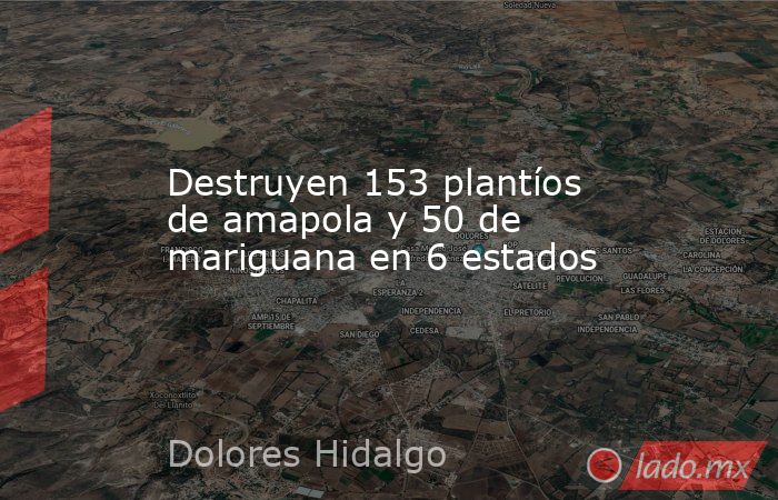 Destruyen 153 plantíos de amapola y 50 de mariguana en 6 estados. Noticias en tiempo real