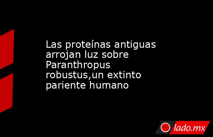 Las proteínas antiguas arrojan luz sobre Paranthropus robustus,un extinto pariente humano. Noticias en tiempo real