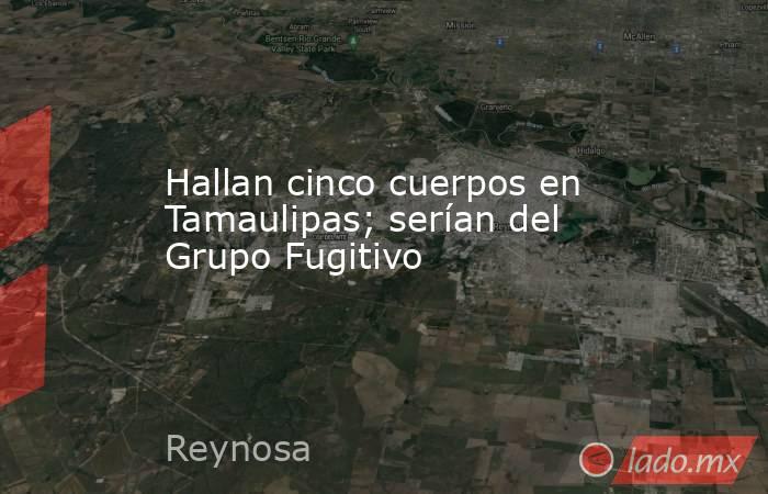 Hallan cinco cuerpos en Tamaulipas; serían del Grupo Fugitivo. Noticias en tiempo real