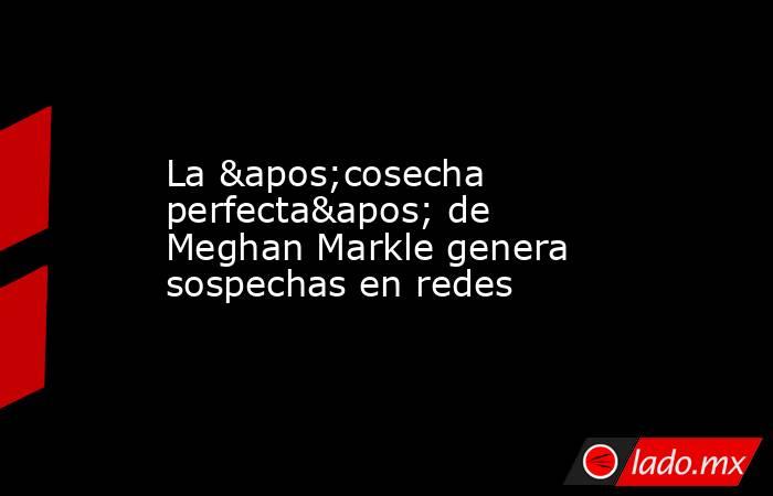 La 'cosecha perfecta' de Meghan Markle genera sospechas en redes. Noticias en tiempo real