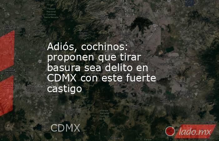 Adiós, cochinos: proponen que tirar basura sea delito en CDMX con este fuerte castigo. Noticias en tiempo real