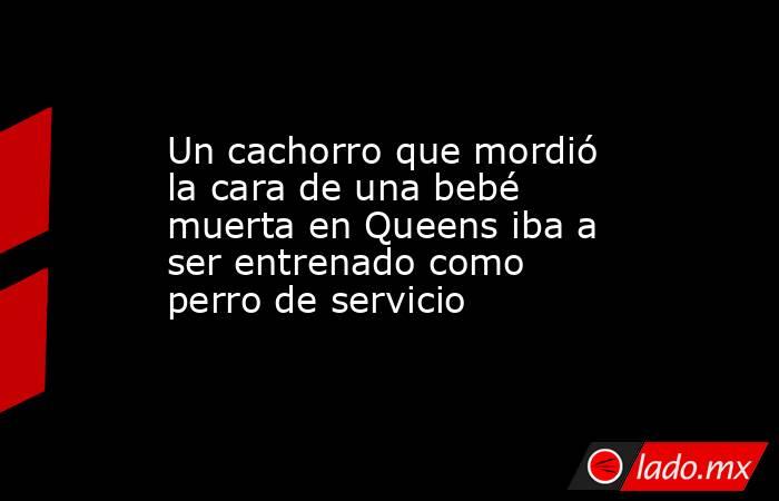 Un cachorro que mordió la cara de una bebé muerta en Queens iba a ser entrenado como perro de servicio. Noticias en tiempo real