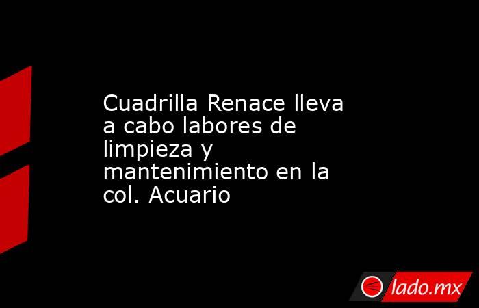 Cuadrilla Renace lleva a cabo labores de limpieza y mantenimiento en la col. Acuario. Noticias en tiempo real