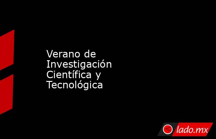 Verano de Investigación Científica y Tecnológica. Noticias en tiempo real