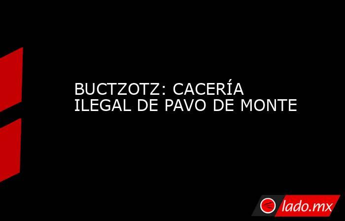 BUCTZOTZ: CACERÍA ILEGAL DE PAVO DE MONTE. Noticias en tiempo real