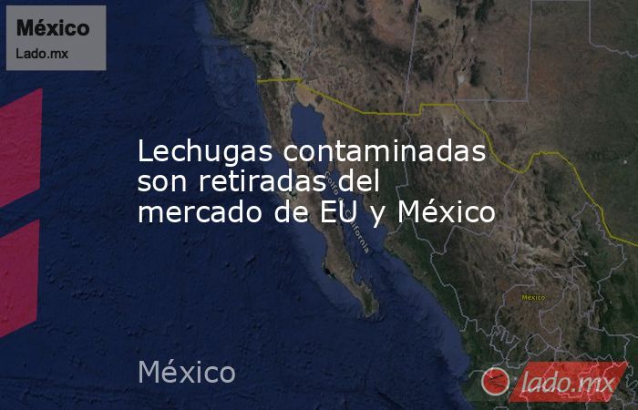 Lechugas contaminadas son retiradas del mercado de EU y México. Noticias en tiempo real