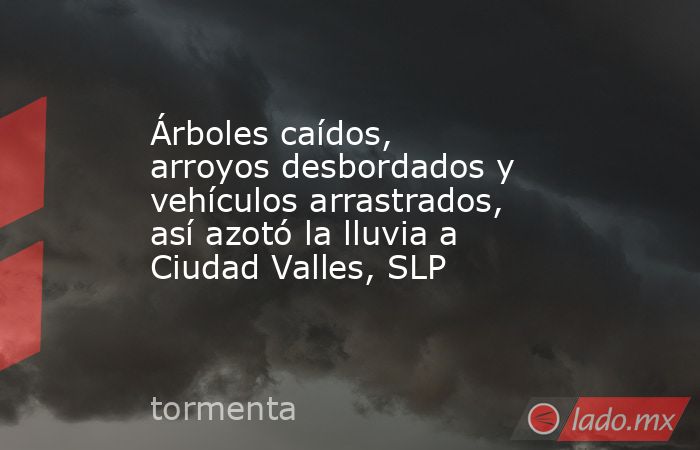 Árboles caídos, arroyos desbordados y vehículos arrastrados, así azotó la lluvia a Ciudad Valles, SLP. Noticias en tiempo real