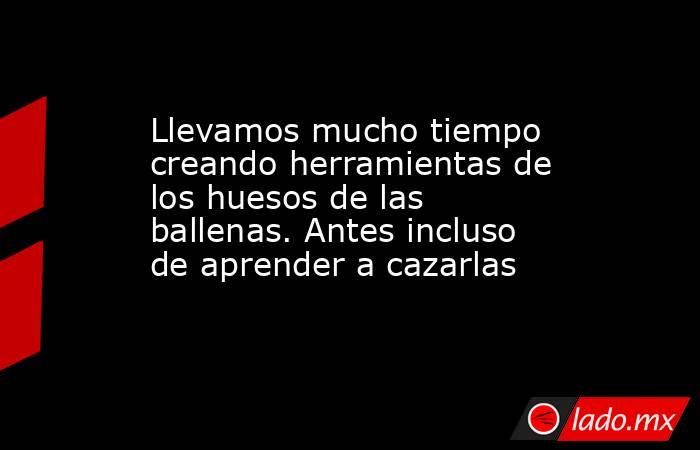 Llevamos mucho tiempo creando herramientas de los huesos de las ballenas. Antes incluso de aprender a cazarlas. Noticias en tiempo real