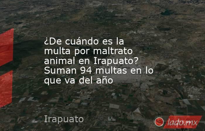 ¿De cuándo es la multa por maltrato animal en Irapuato? Suman 94 multas en lo que va del año. Noticias en tiempo real