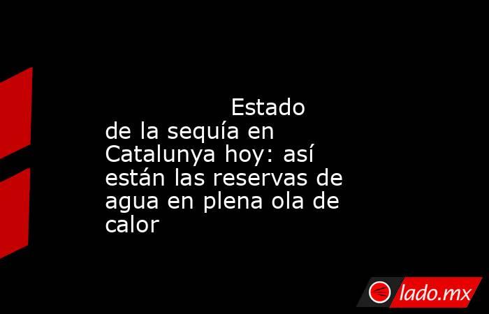                                                                                                                 Estado de la sequía en Catalunya hoy: así están las reservas de agua en plena ola de calor                                                     . Noticias en tiempo real