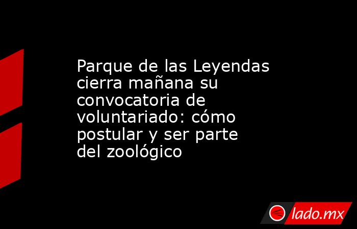Parque de las Leyendas cierra mañana su convocatoria de voluntariado: cómo postular y ser parte del zoológico. Noticias en tiempo real