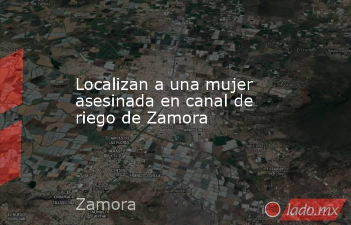 Localizan a una mujer asesinada en canal de riego de Zamora. Noticias en tiempo real