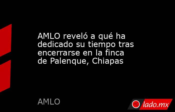 AMLO reveló a qué ha dedicado su tiempo tras encerrarse en la finca de Palenque, Chiapas . Noticias en tiempo real