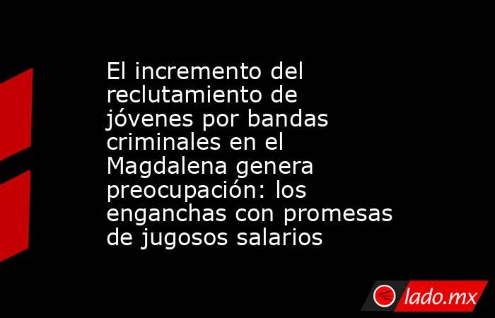 El incremento del reclutamiento de jóvenes por bandas criminales en el Magdalena genera preocupación: los enganchas con promesas de jugosos salarios. Noticias en tiempo real
