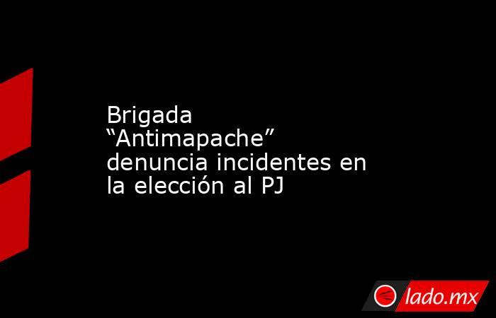 Brigada “Antimapache” denuncia incidentes en la elección al PJ. Noticias en tiempo real